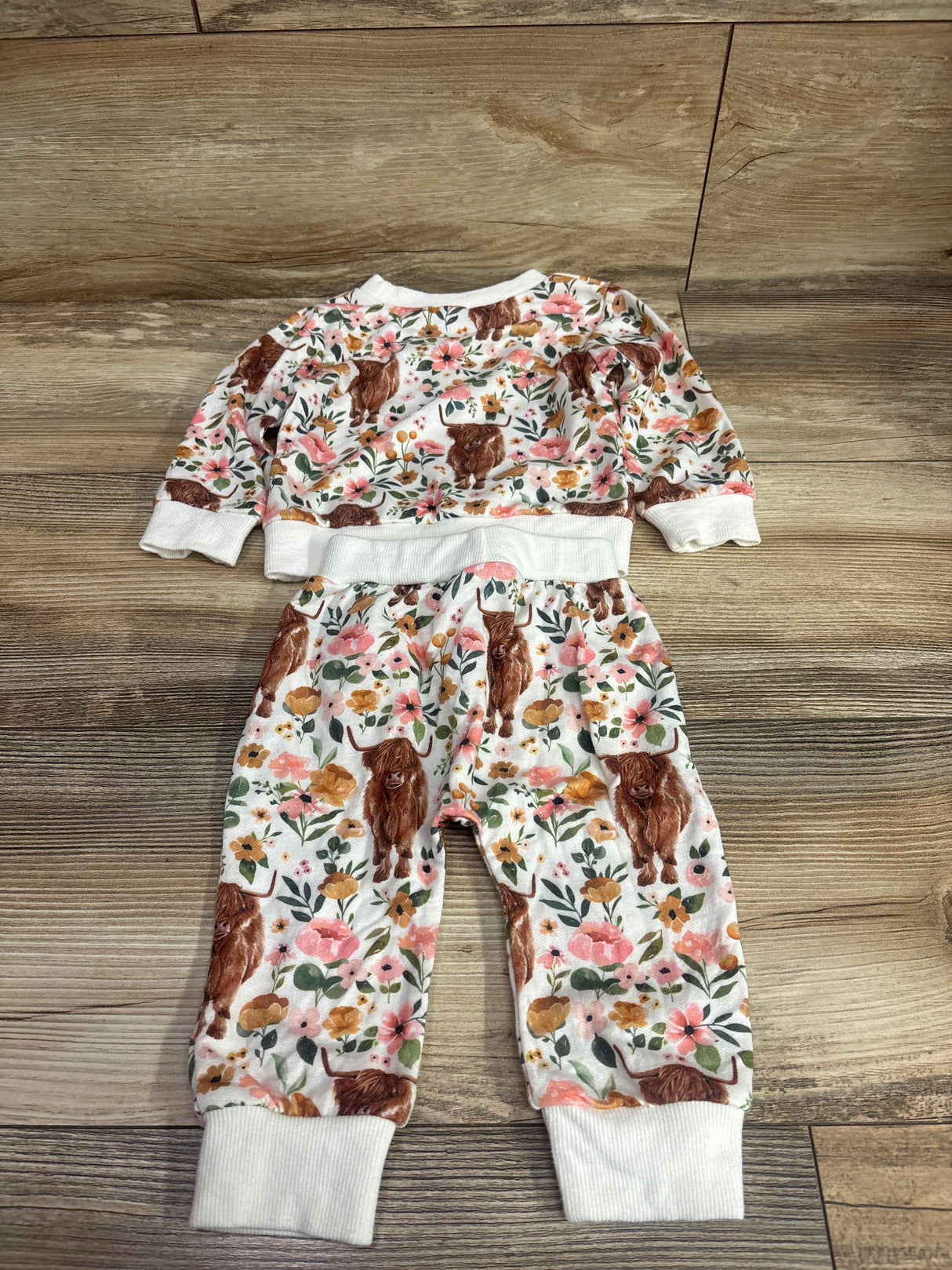 goowrom 2pc Highland Cow Sweatshirt & Joggers Set White sz 3-6m