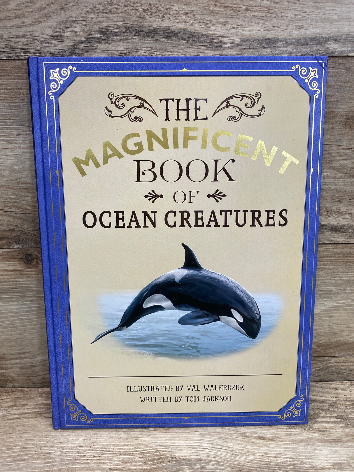 The Magnificent Book of Ocean Creatures Hardcover Book