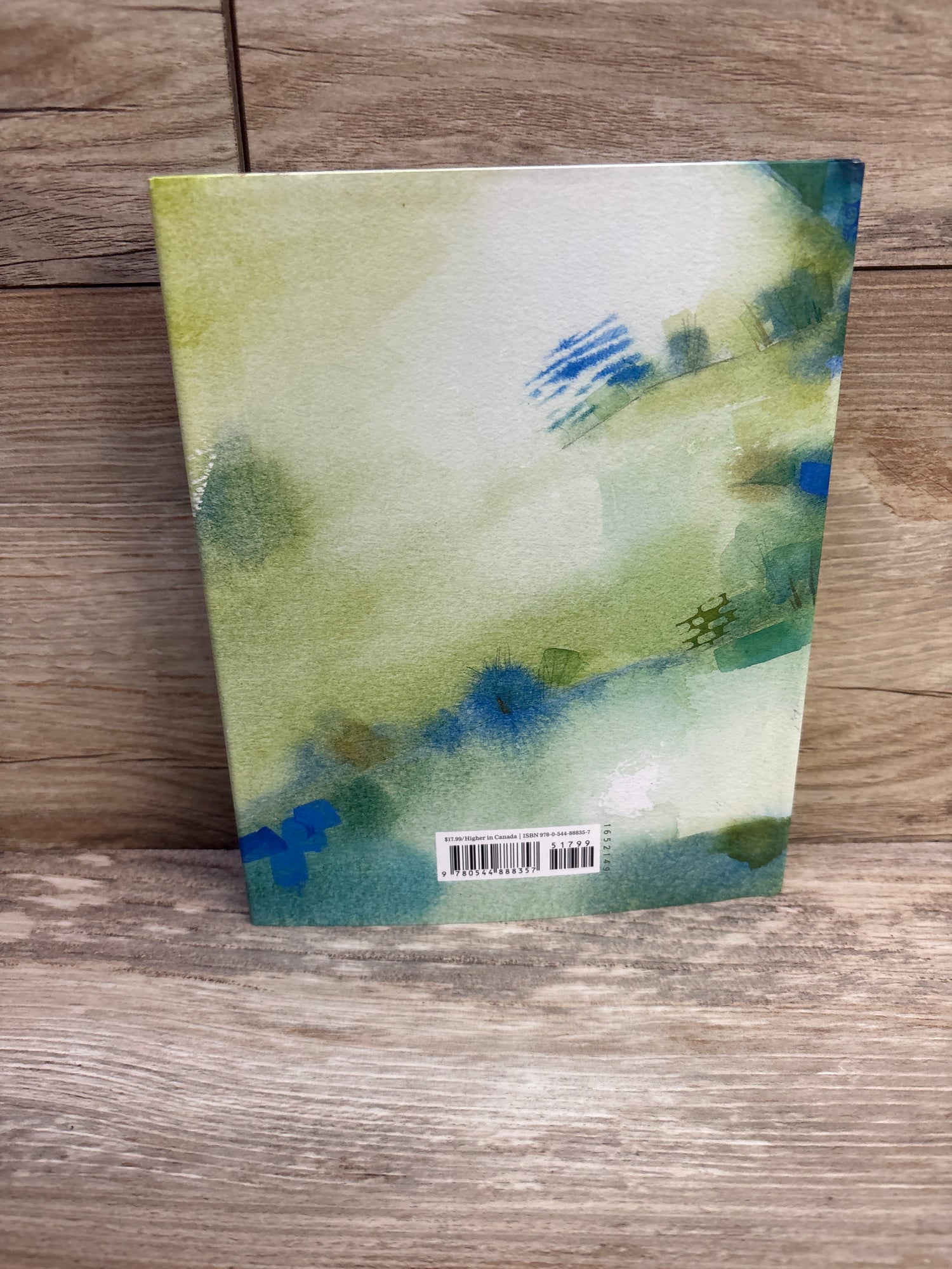 One Smart Sheep Hardcover Chapter Book