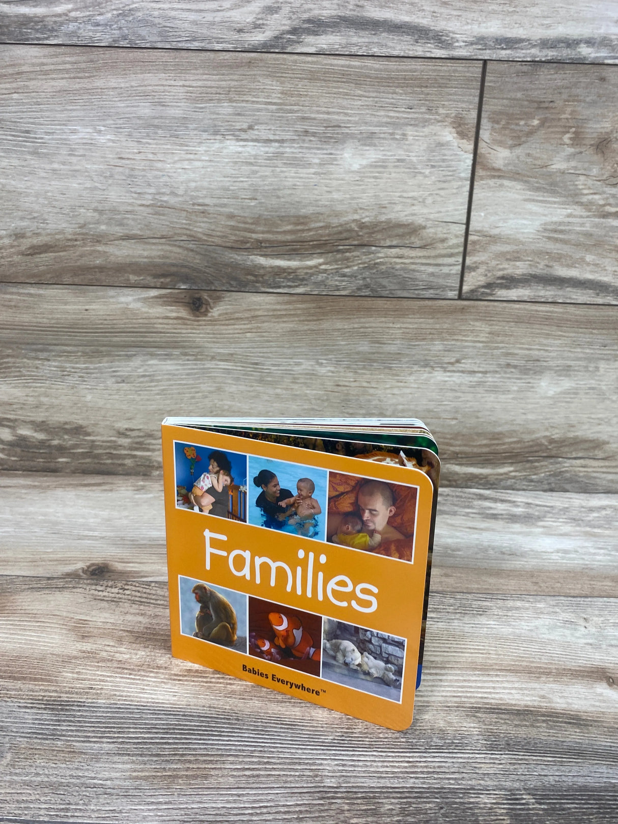 Families: Babies Everywhere Board Book