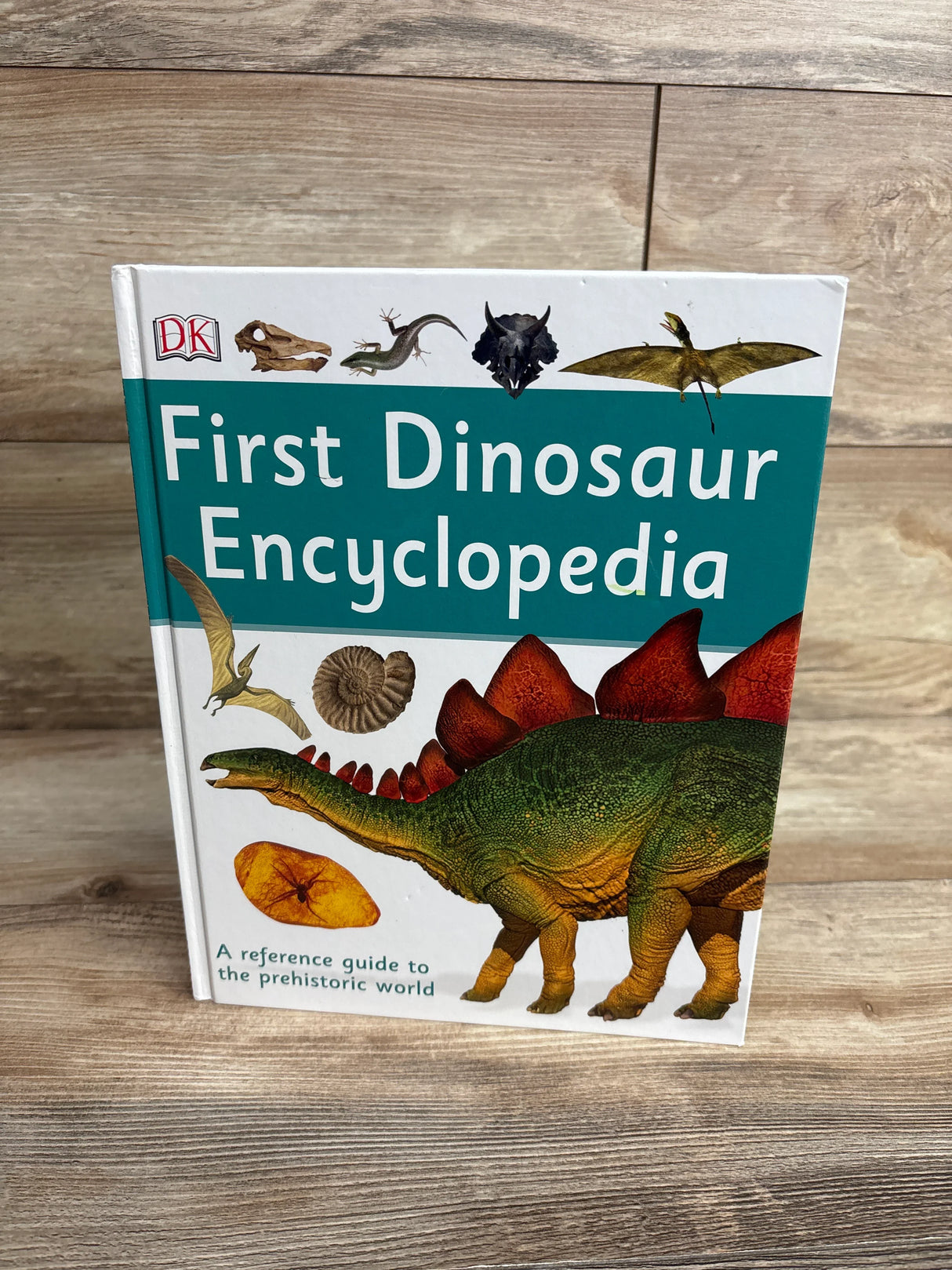 First Dinosaur Encyclopedia Hardcover Book