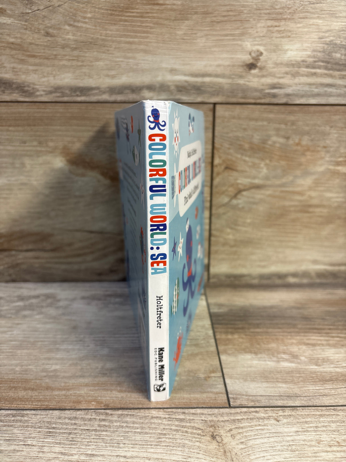 Colorful World: Sea Board Book