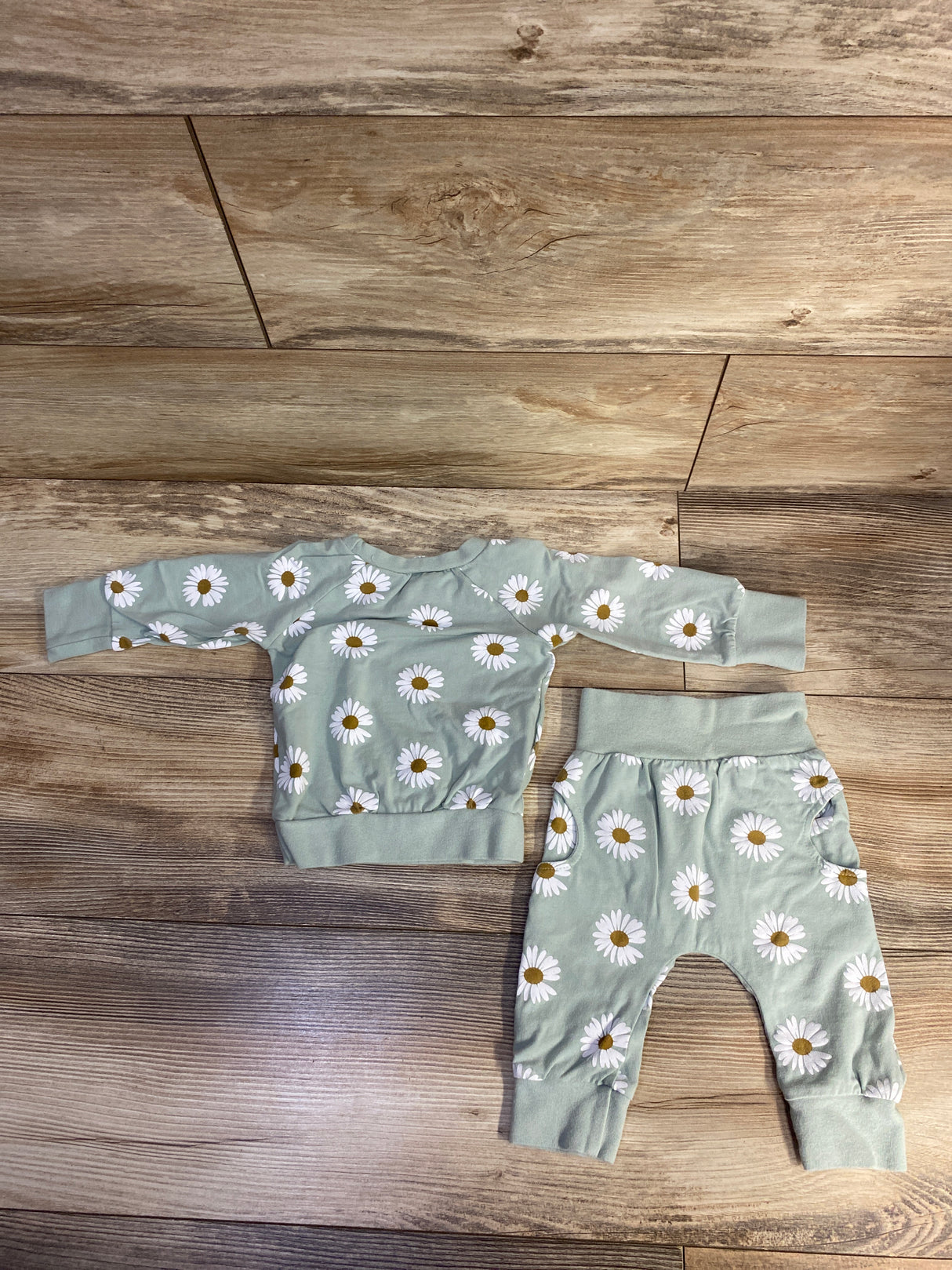 2pc Floral Sweatshirt & Joggers Set Green sz 9-12m