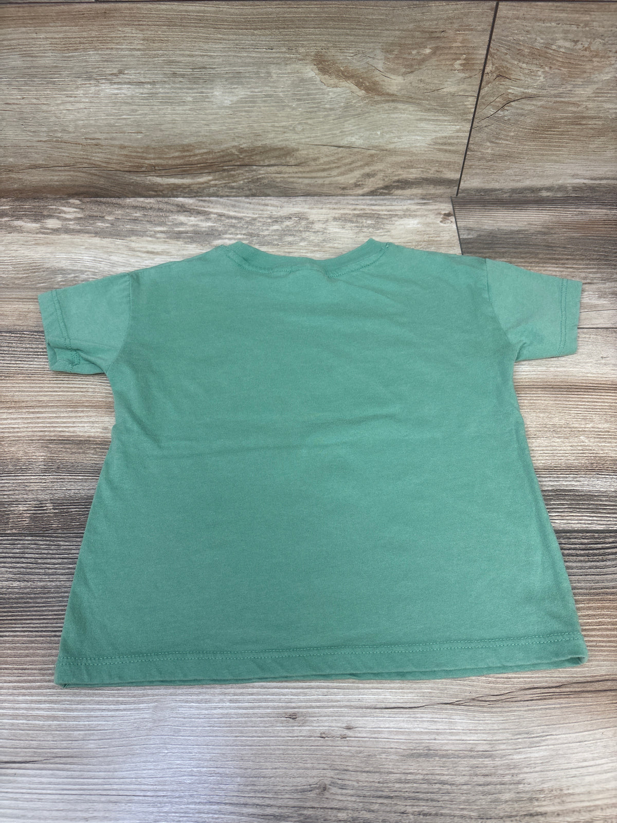 Nickelodeon Teenage Mutant Ninja Turtles Shirt Green sz 3T