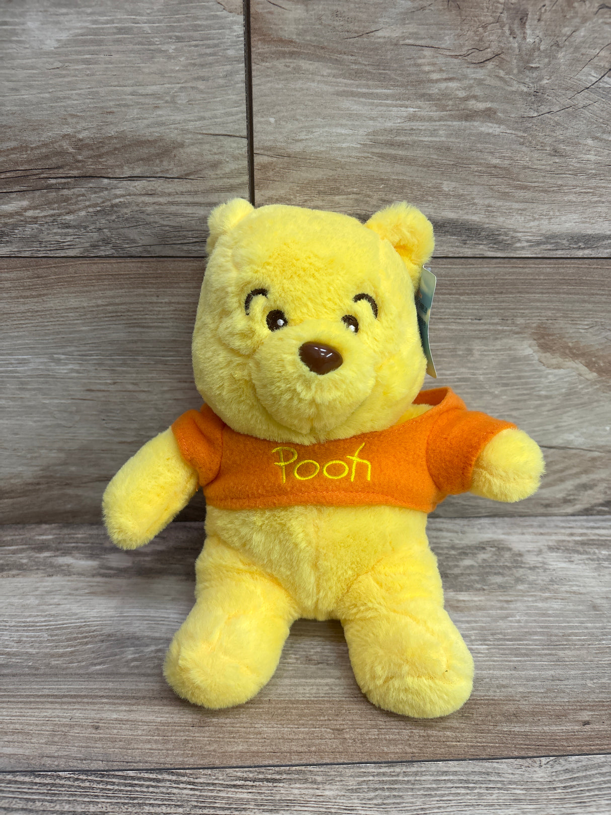 NEW Disney Winnie The Pooh Plush Bear