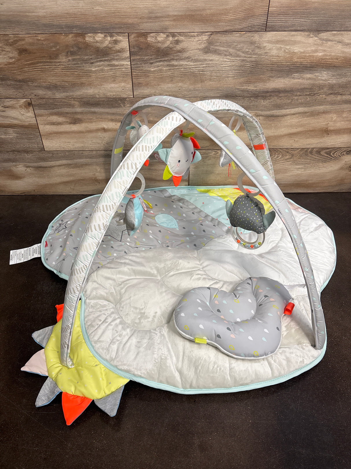 Skip Hop Silver Lining Cloud Activity Gym