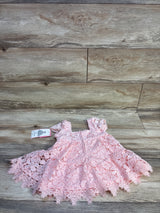 NEW Rare Editions Lace Dress Pink sz 2T