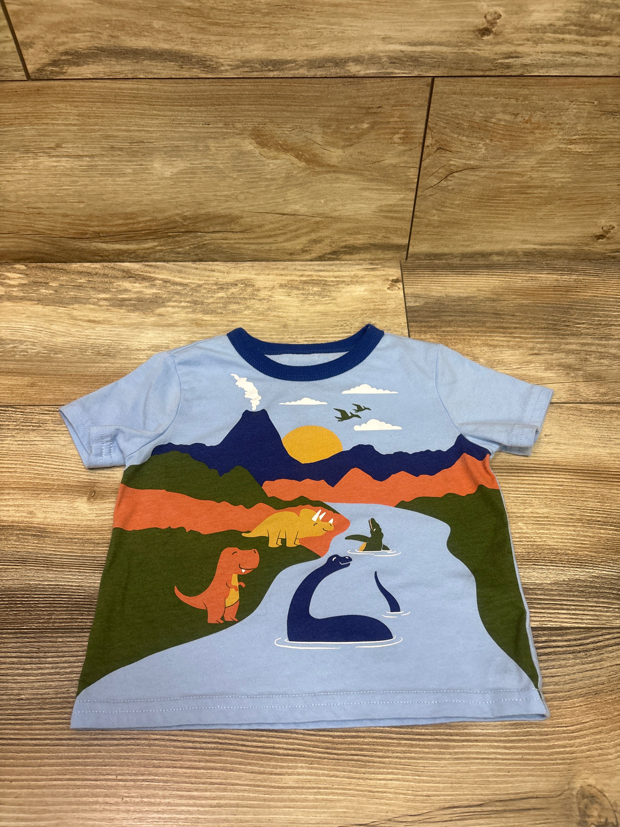 Children's Place Shirt Blue sz 12-18m