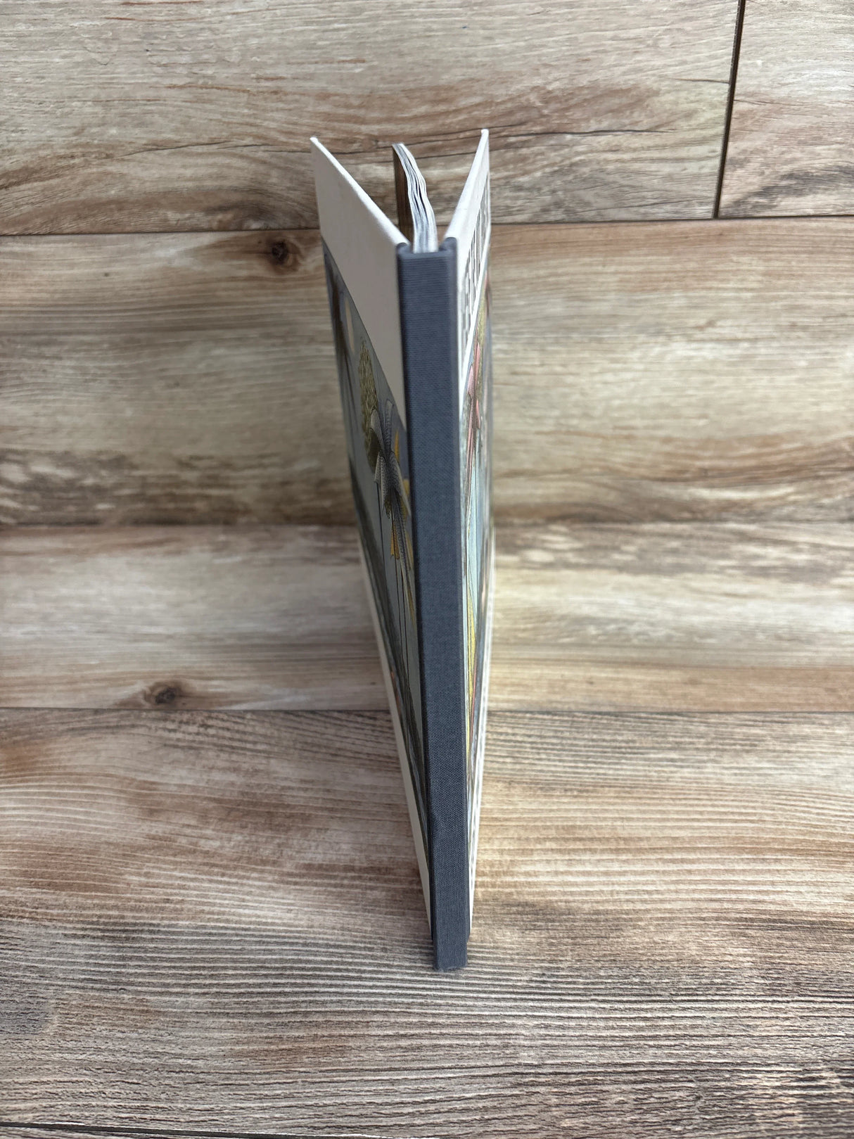 Where The Wild Things Are Hardcover Book