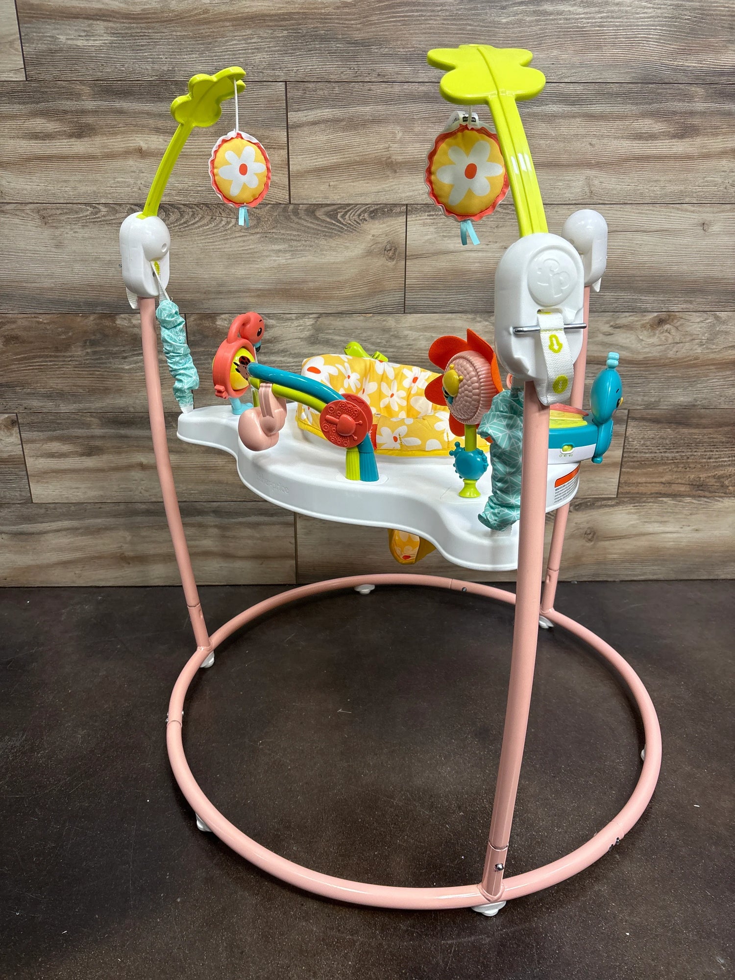 Fisher Price Blooming Fun Jumperoo