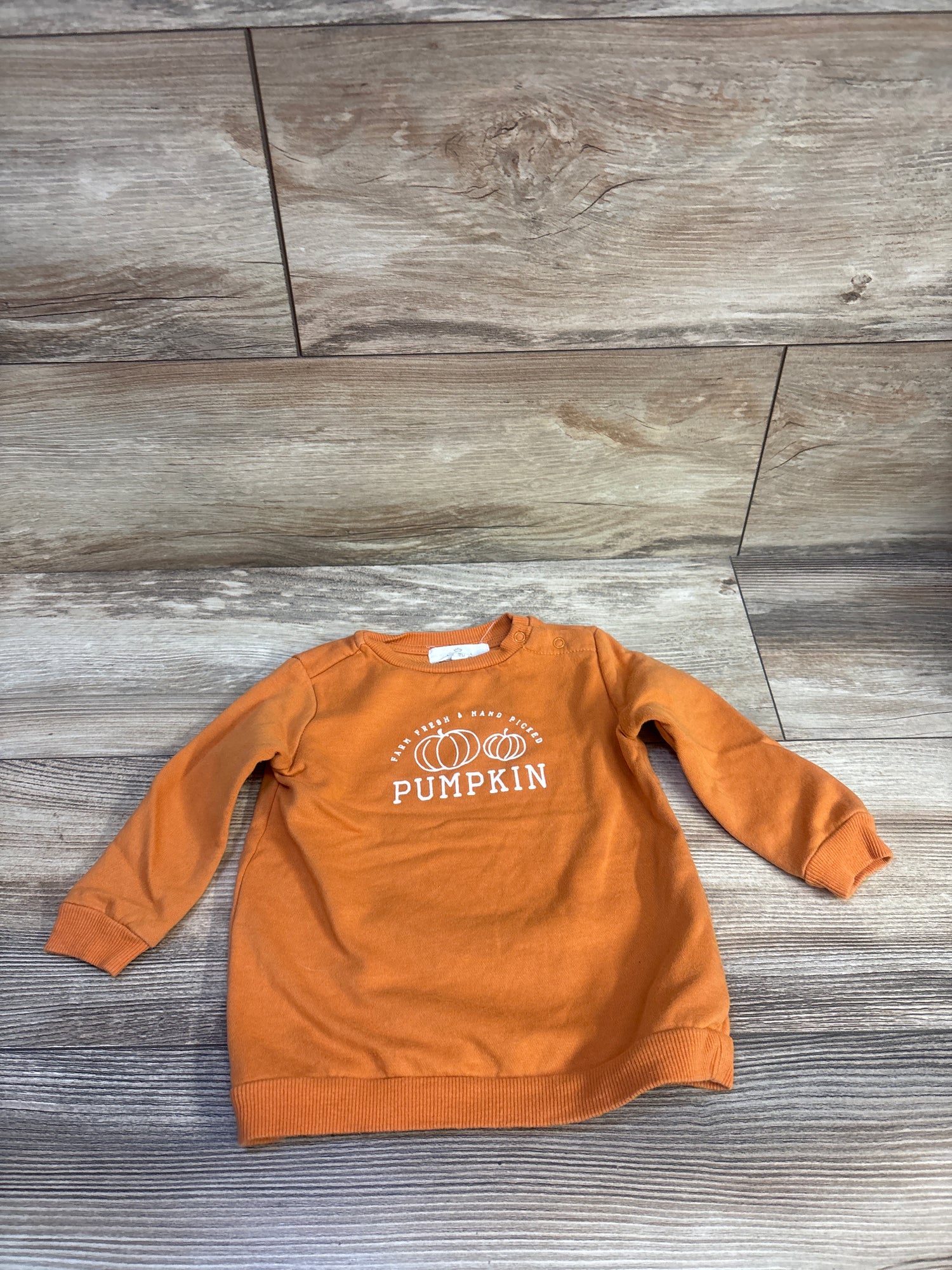 Starting Out Pumpkin Pullover Sweatshirt Orange sz 18m