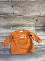 Starting Out Pumpkin Pullover Sweatshirt Orange sz 18m