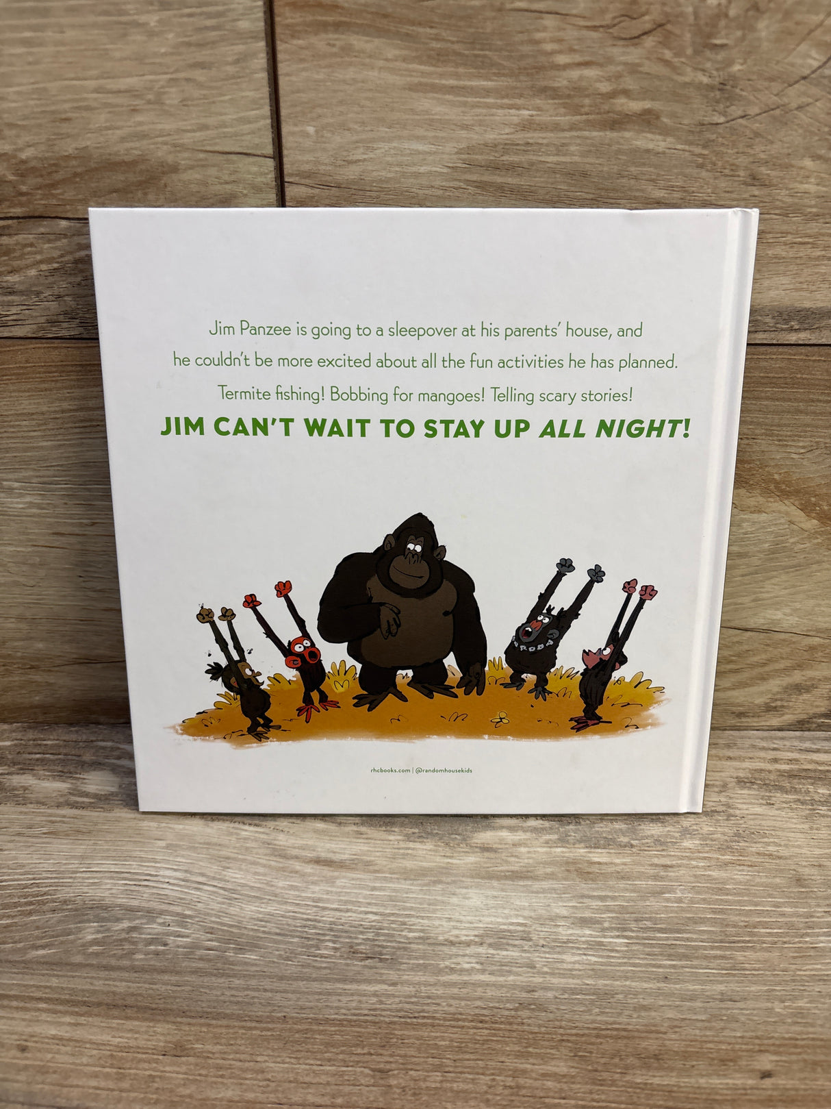 Grumpy Monkey Up All Night Hardcover Book