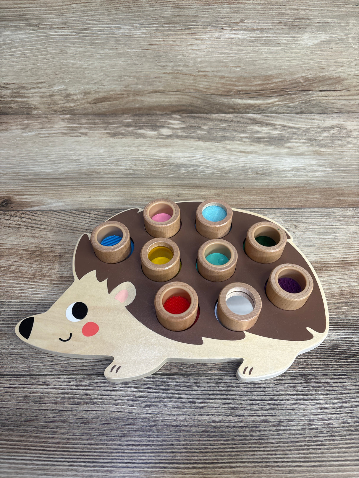 Lakeshore Explore & Match Sensory Hedgehog
