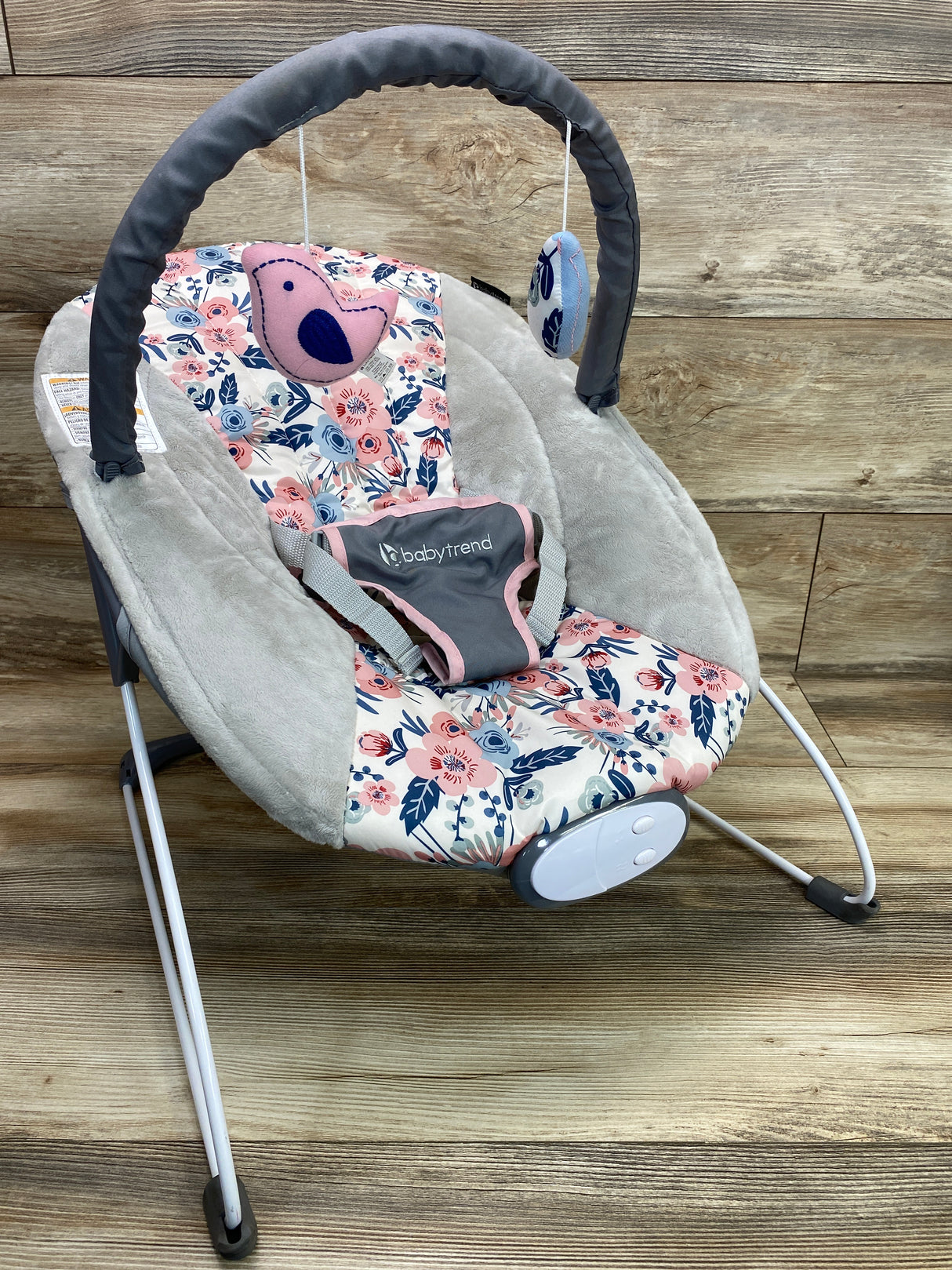 Baby Trend EZ Bouncer Bluebell