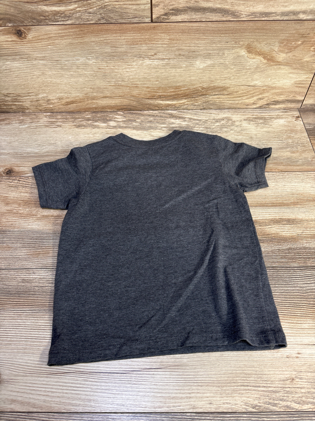 Bighorn Sheep Shirt Grey sz 4T