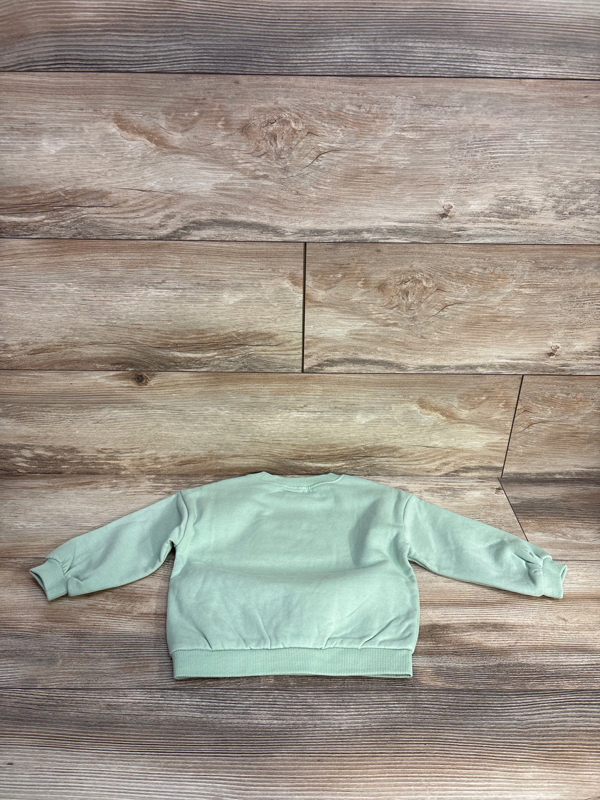 Orchestra Long Sleeve Pullover Sweatshirt Green sz 18m