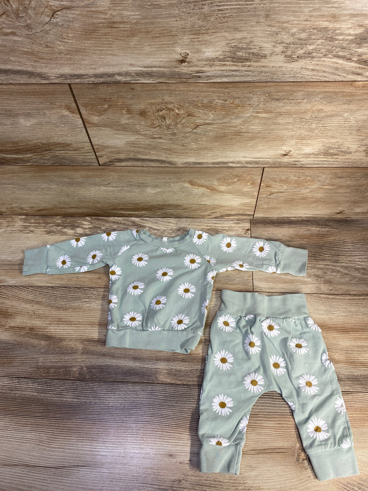 2pc Floral Sweatshirt & Joggers Set Green sz 9-12m
