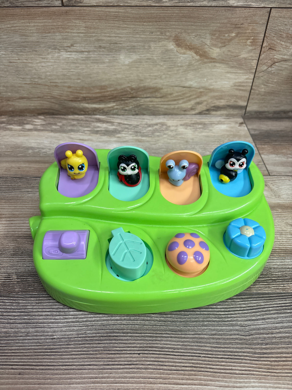MindSprout Peek-A-Bug Pop Up Cause & Effect Toy