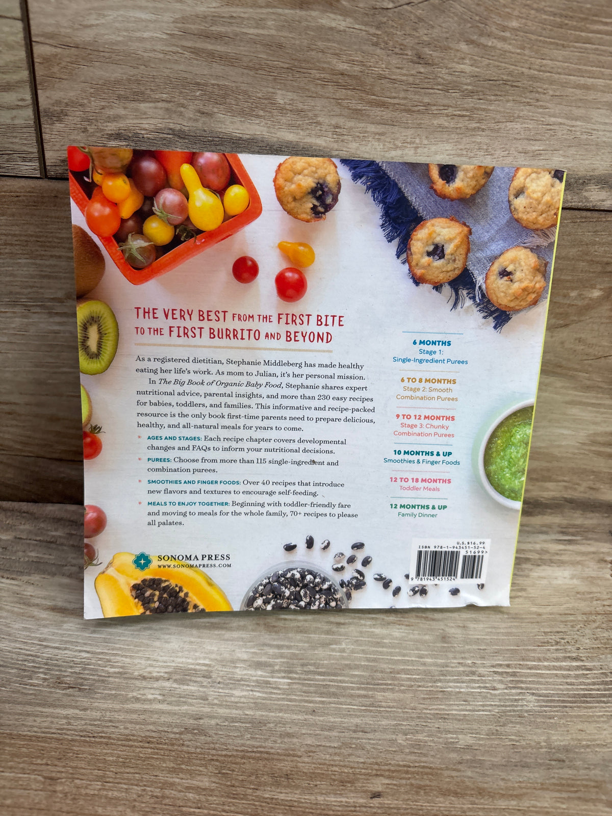 The Big Book of Organic Baby Food Paperback Book