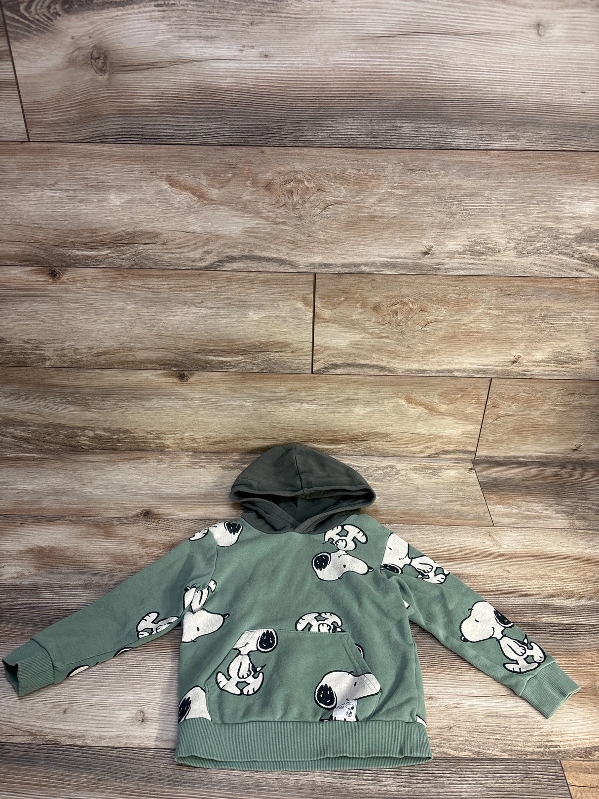 H&M x Peanuts Snoopy Hoodie Green sz 3/4T