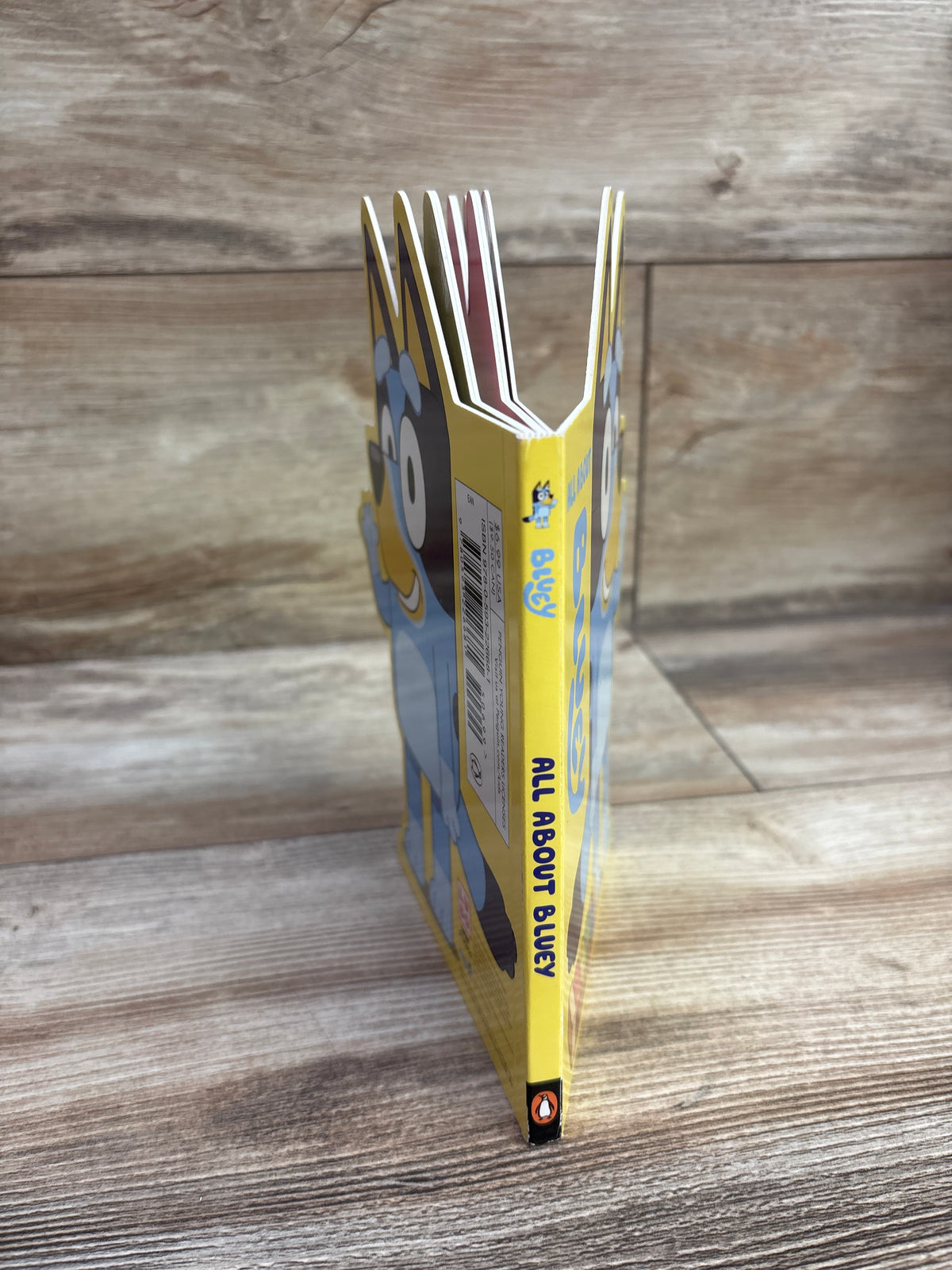 All About Bluey Board Book
