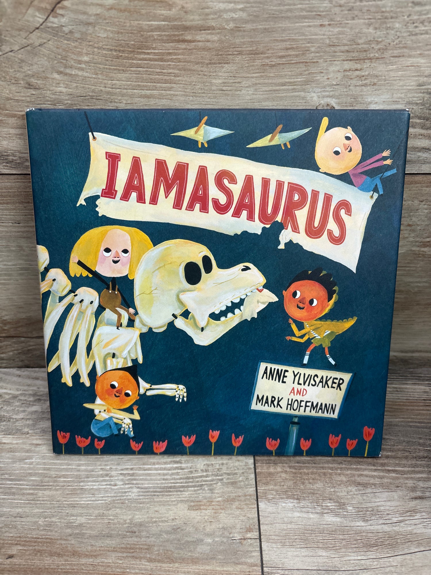 Iamasaurus Hardcover Book