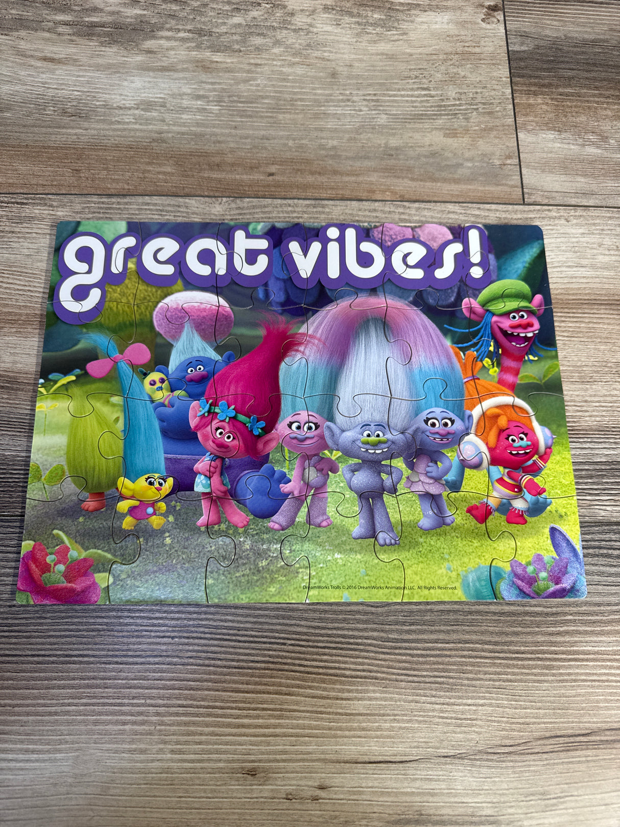 Trolls 5 Wood Puzzle Pack & Storage Box