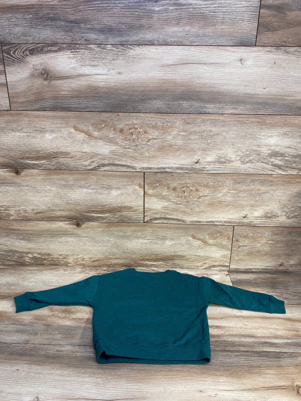 Carter's Dinosaur Plane Pull Over Sweatshirt Green sz 3T