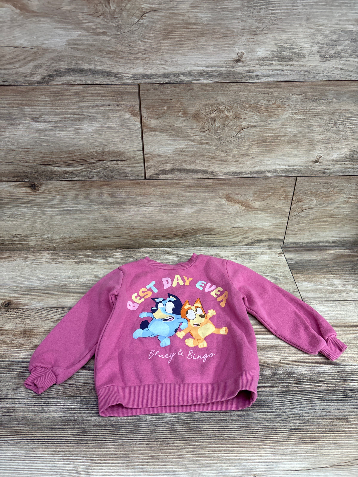 Bluey Best Day Ever Pullover Sweatshirt Pink sz 2T