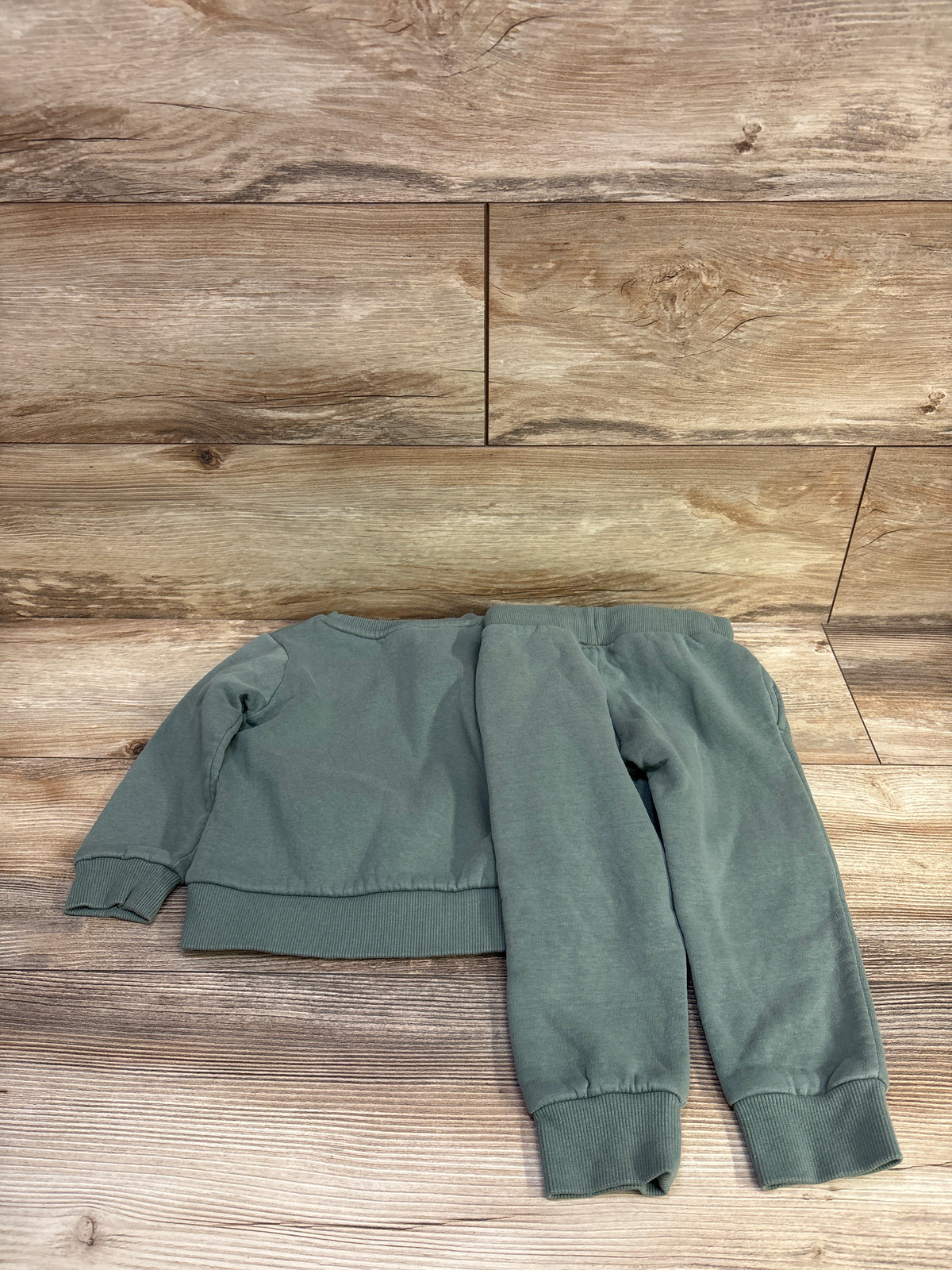 Disney The Lion King 2pc Sweatshirt & Joggers Set Green sz 2T