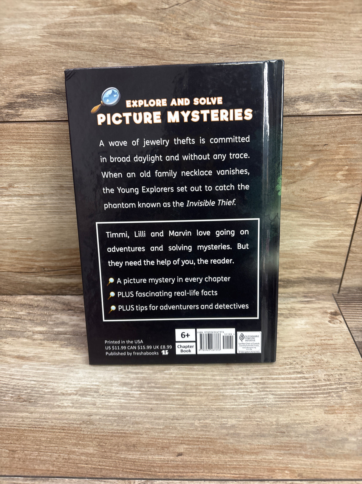 The Missing Necklace: A Timmi Tobbson Hardcover Book