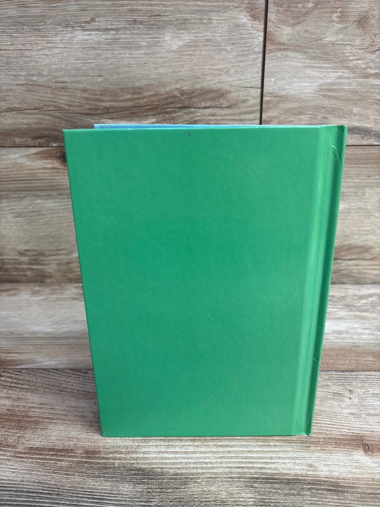 Pooh's Grand Adventure: The Search for Christopher Robin Hardcover Book