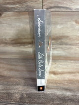 Little Owl's Snow Board Book