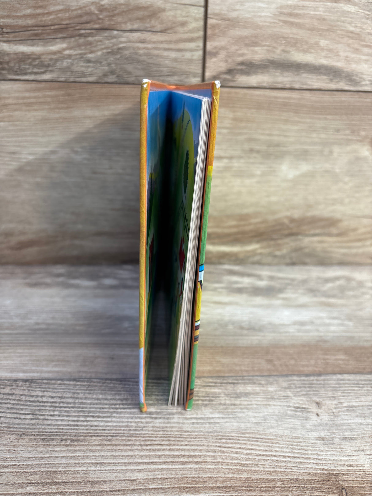 The Little Engine That Could Hardcover Book