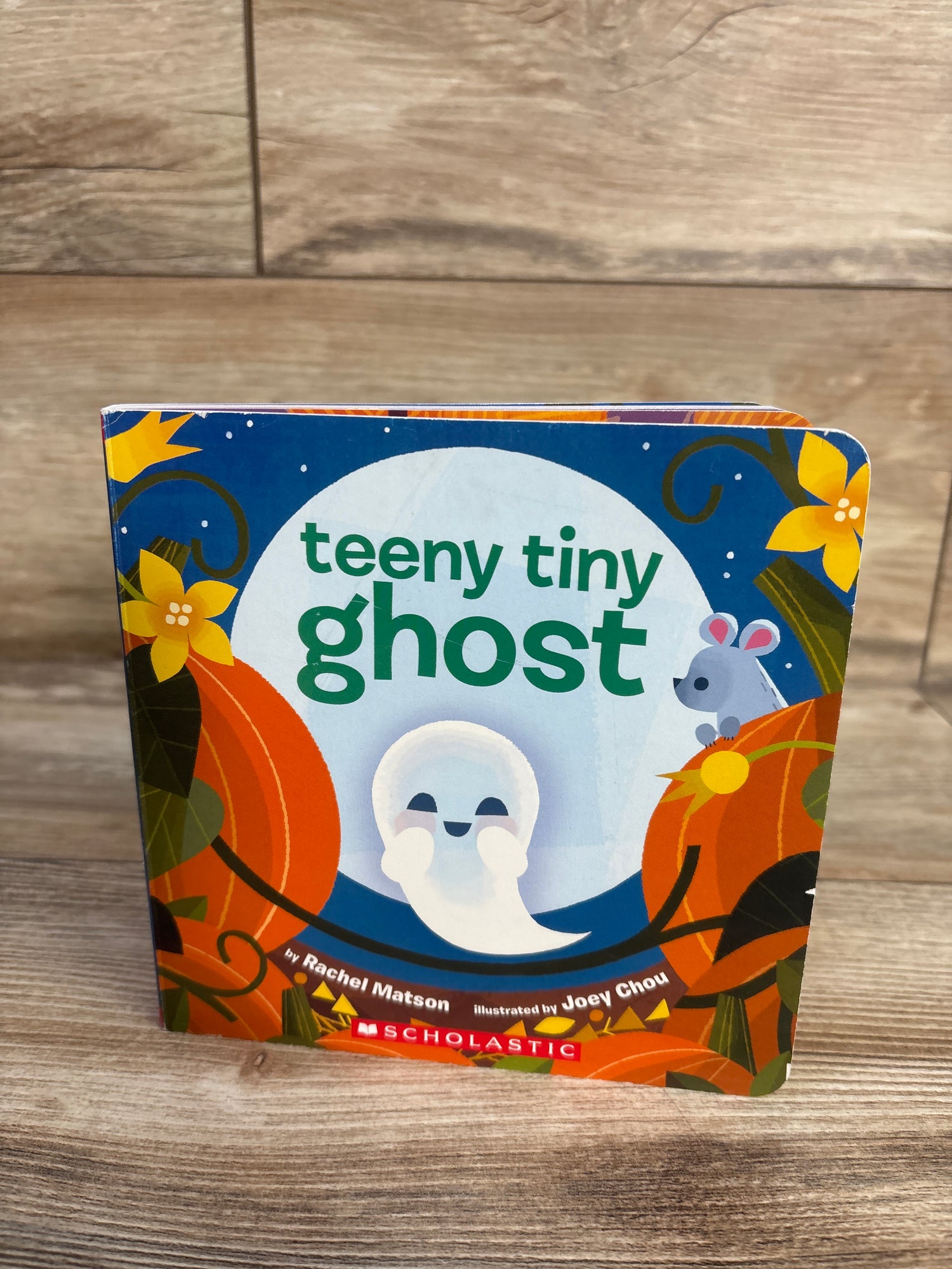 Teeny Tiny Ghost Board Book