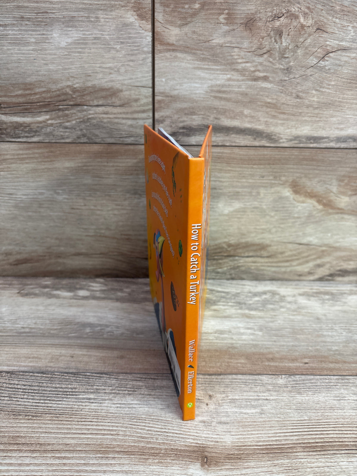 How to Catch a Turkey Hardcover Book