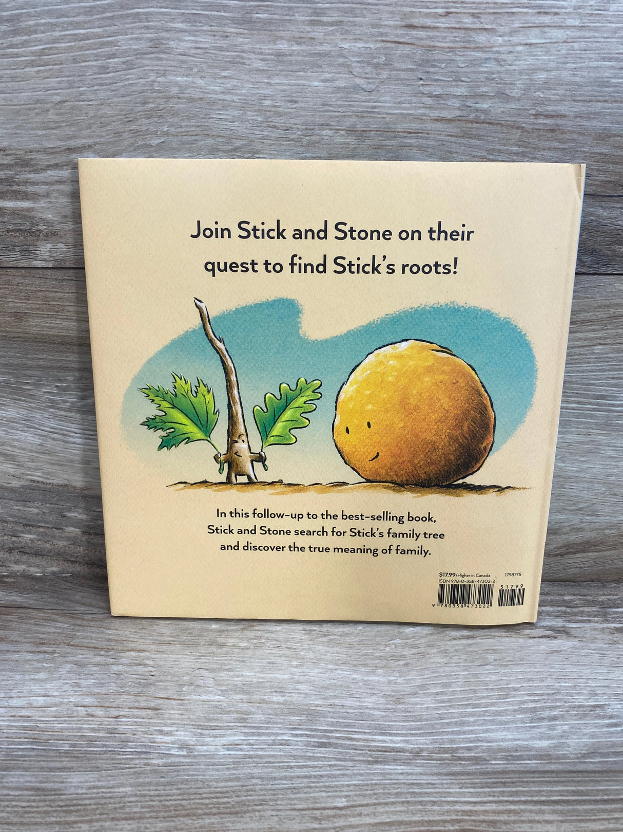 Stick and Stone: Best Friends Forever! Hardcover By Beth Ferry