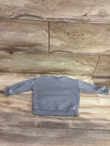 Grey Disney Baby Winnie the Pooh sweatshirt for infants size 6-9 months on a wood background