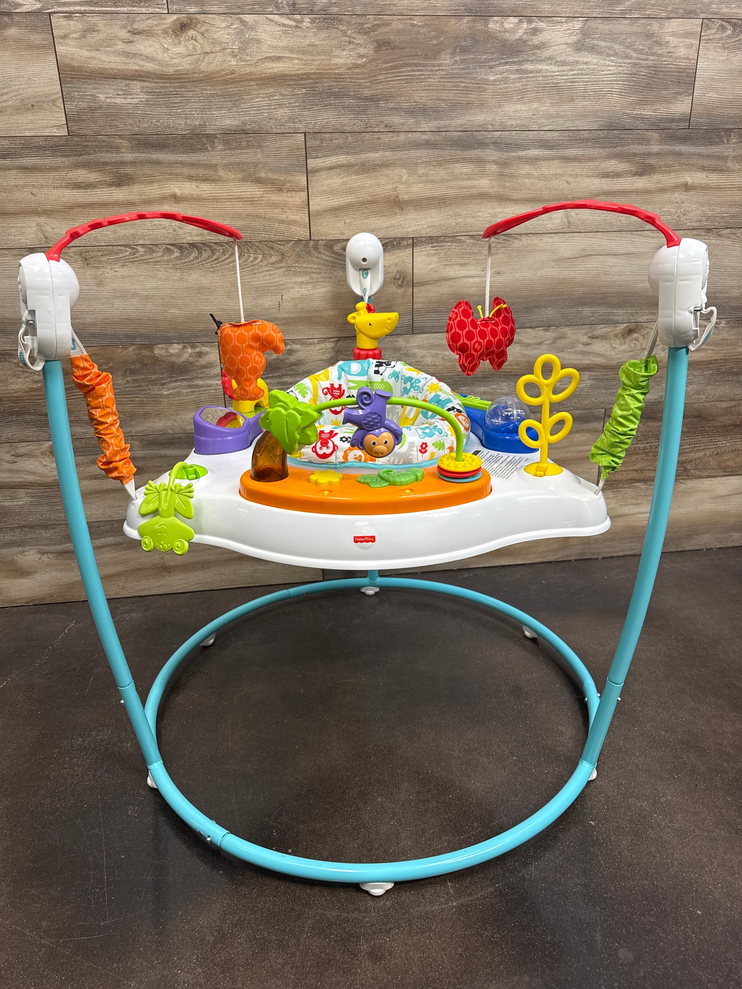 Fisher Price Animal Activity Jumperoo
