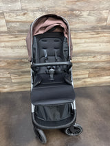 SteAnny Revisable Stroller, Brown