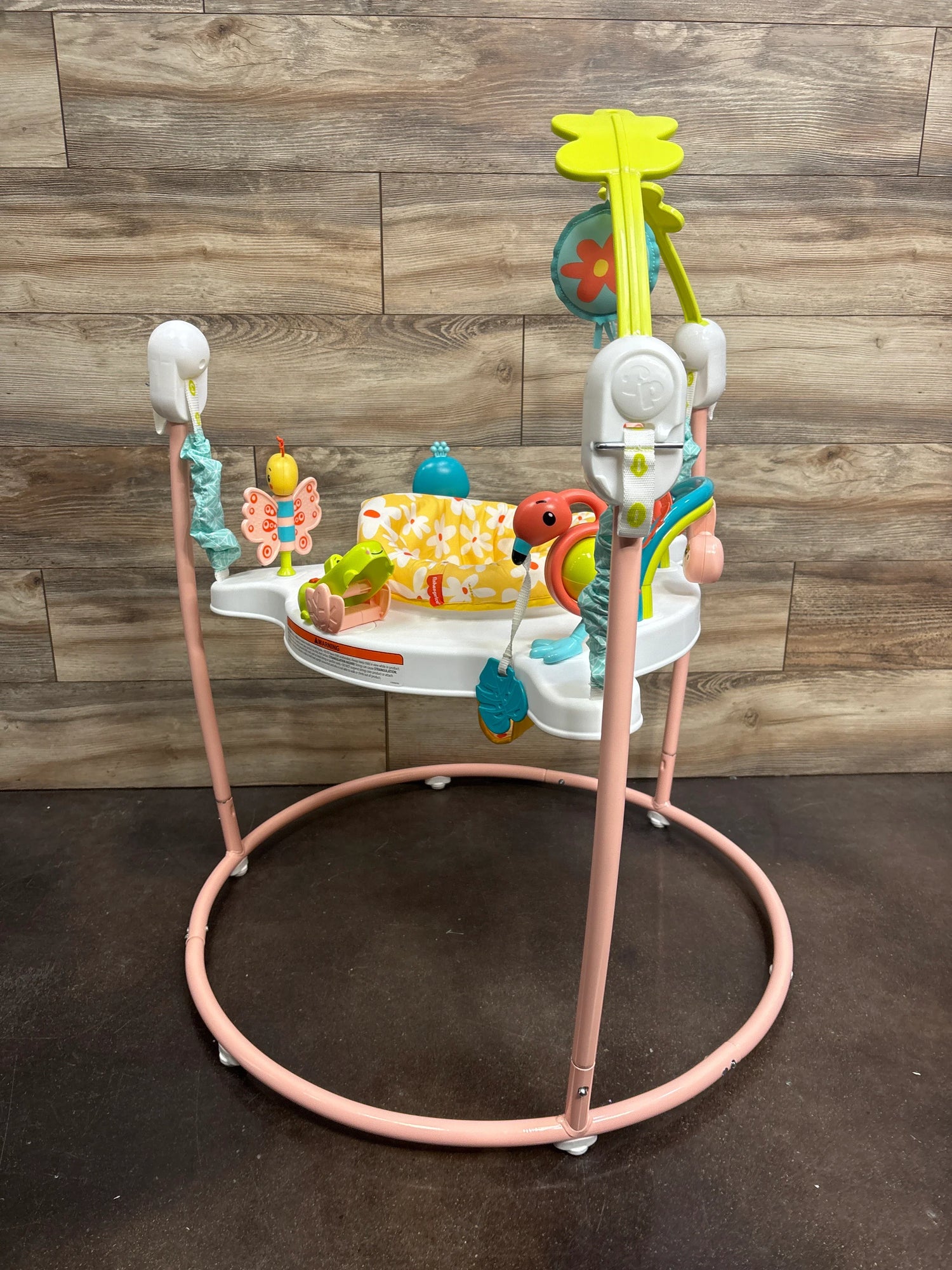 Fisher Price Blooming Fun Jumperoo