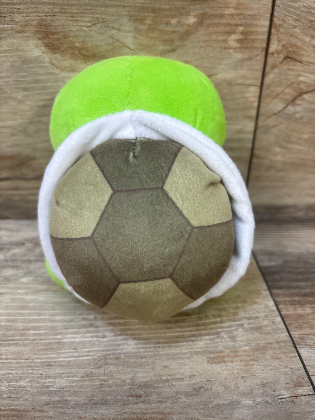 NEW Bluey Turtleboy Stuffed Animal