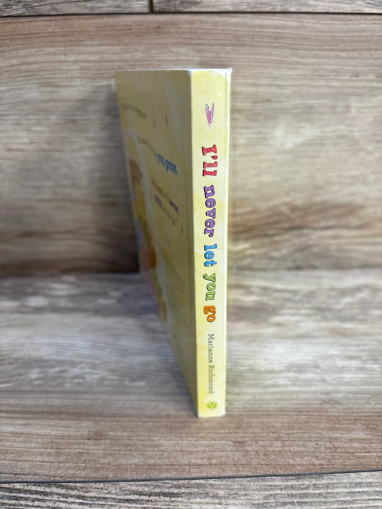 I'll Never Let You Go Board Book