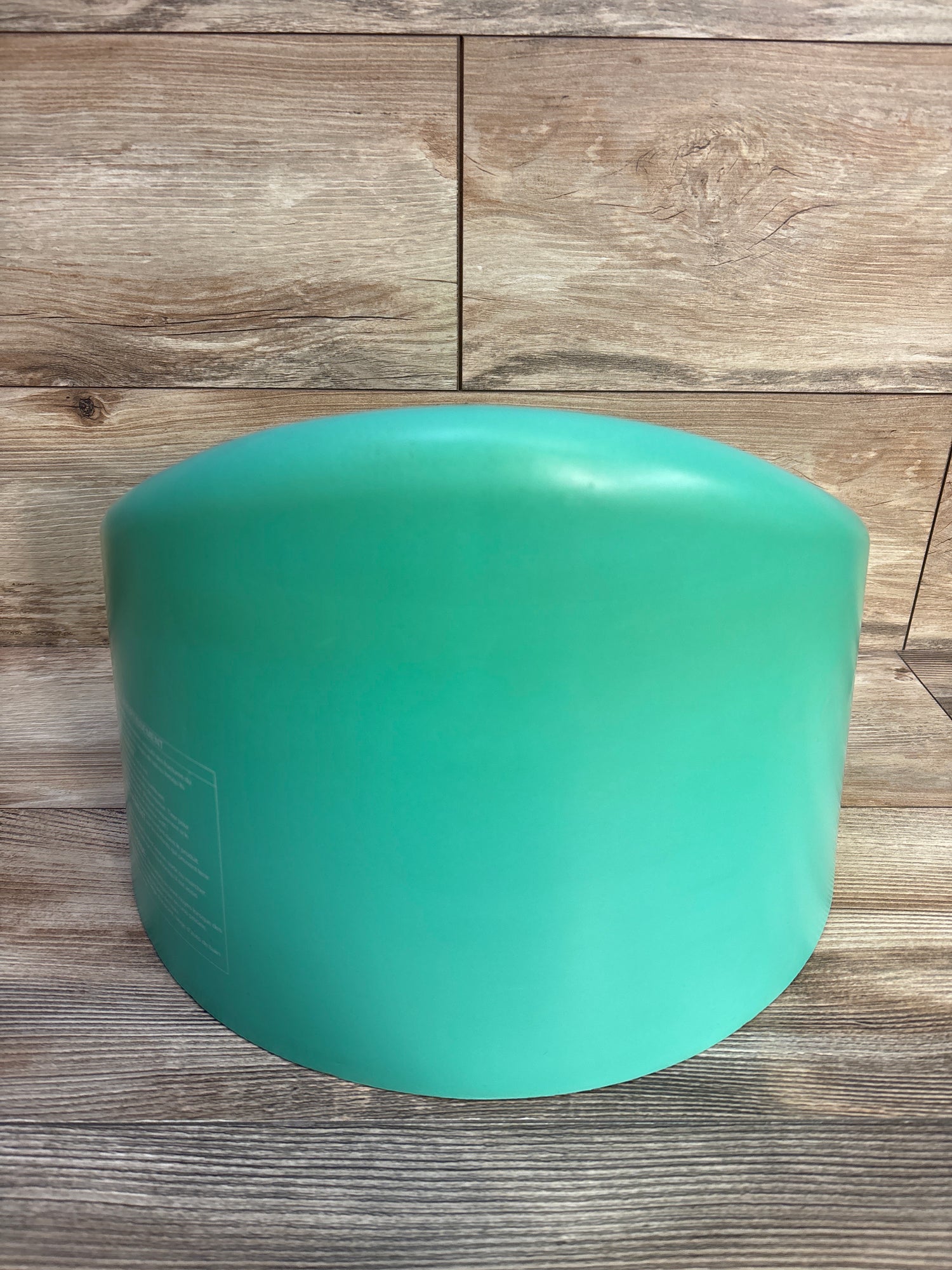 Little Tikes My First Seat Infant Floor Seat in Teal