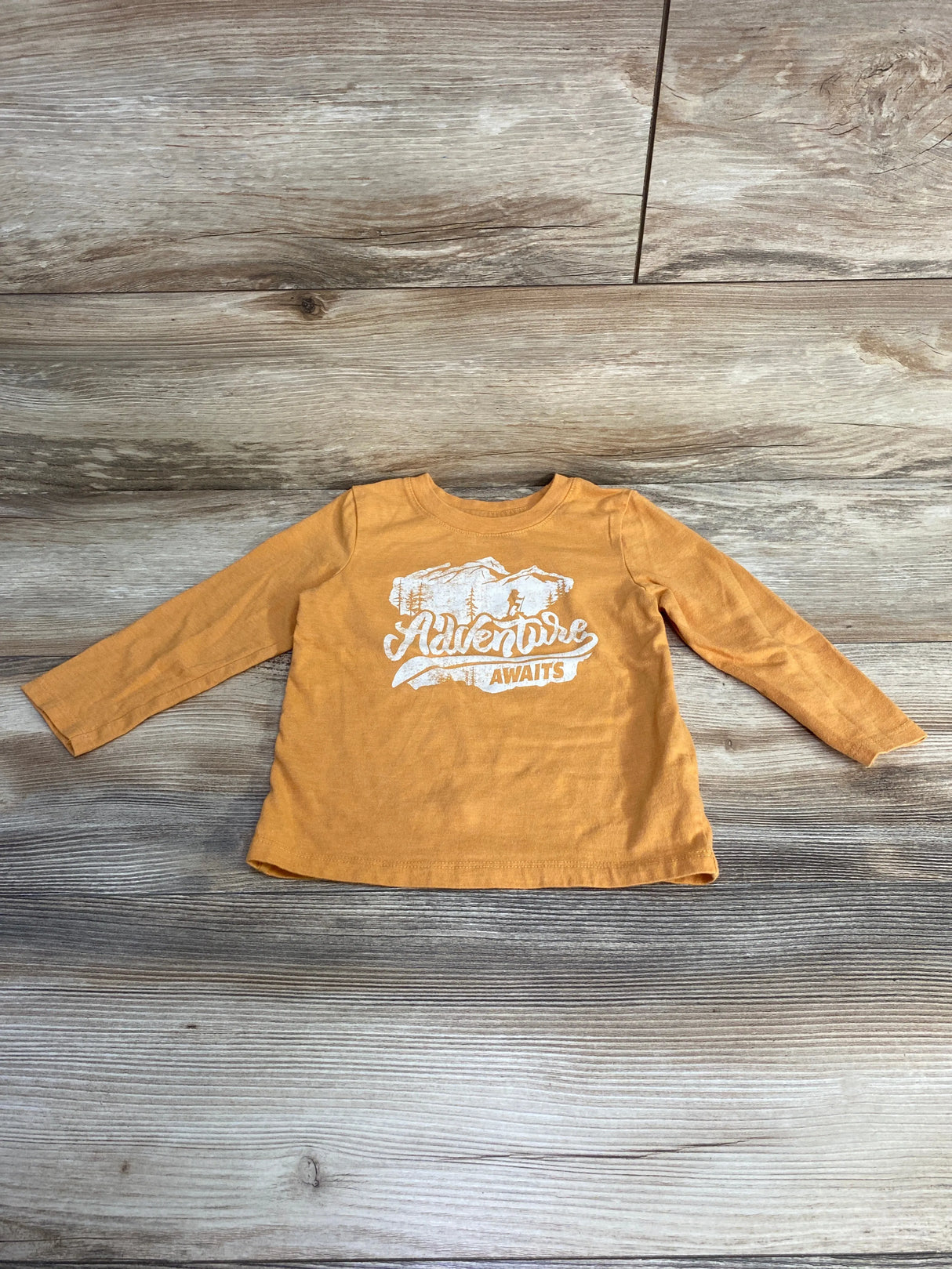 Cat & Jack Adventure Awaits Shirt Orange sz 2T - Me n Mommy To Be