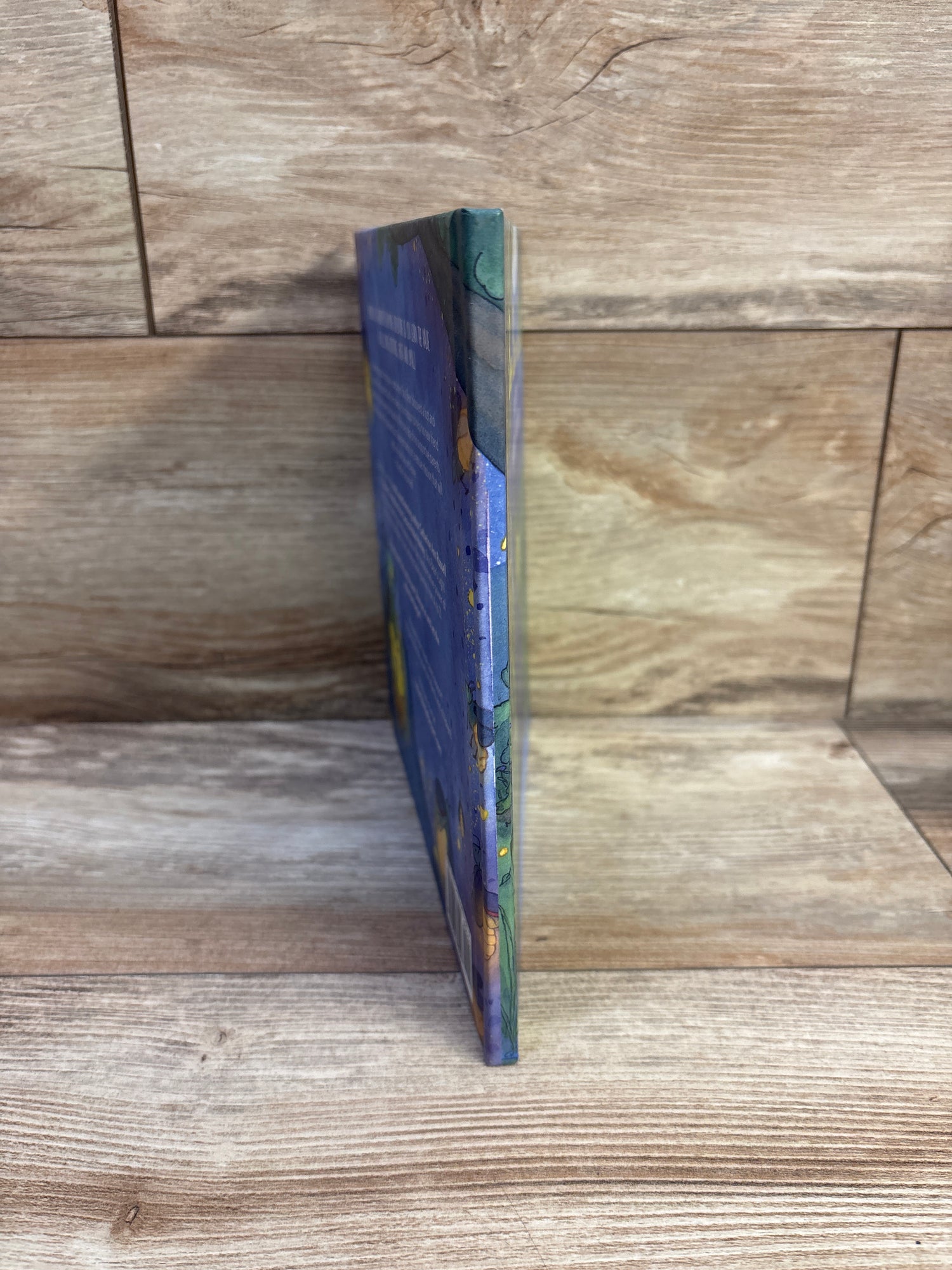 Boo Bear's Light Hardcover Book