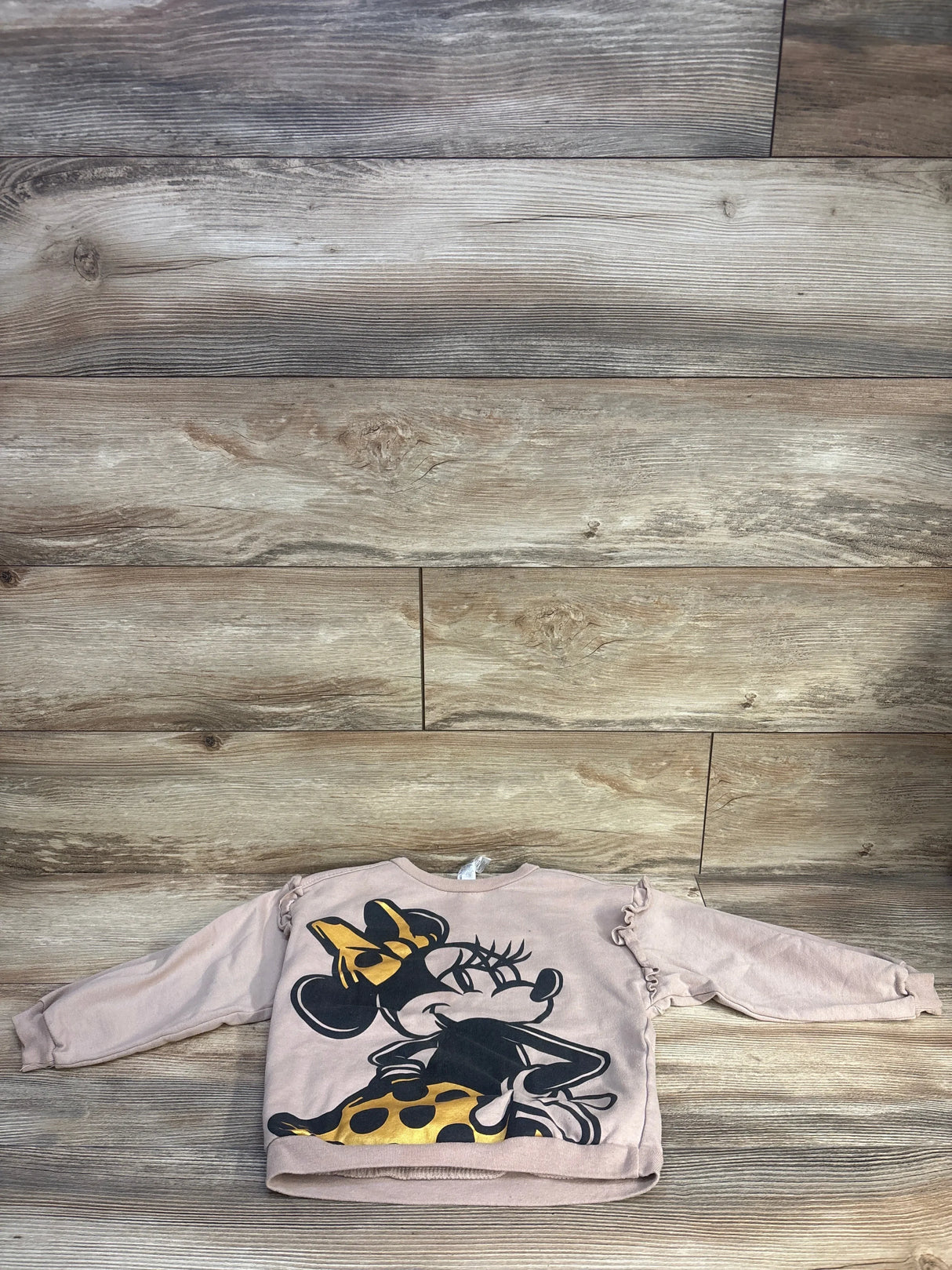 Disney Minnie Mouse Sweatshirt Brown sz 5T