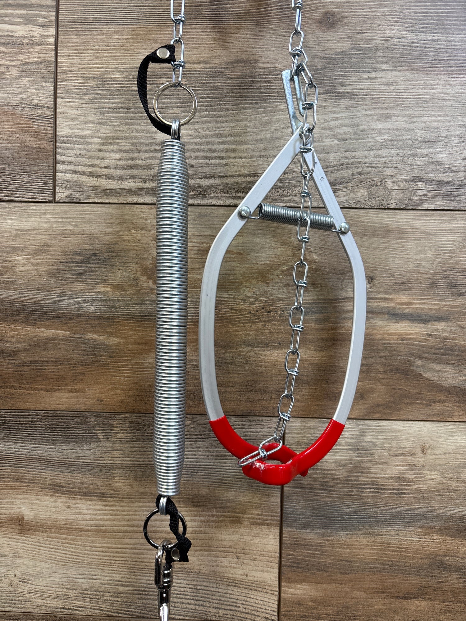 Jolly Jumper w/ Door Clamp in Black