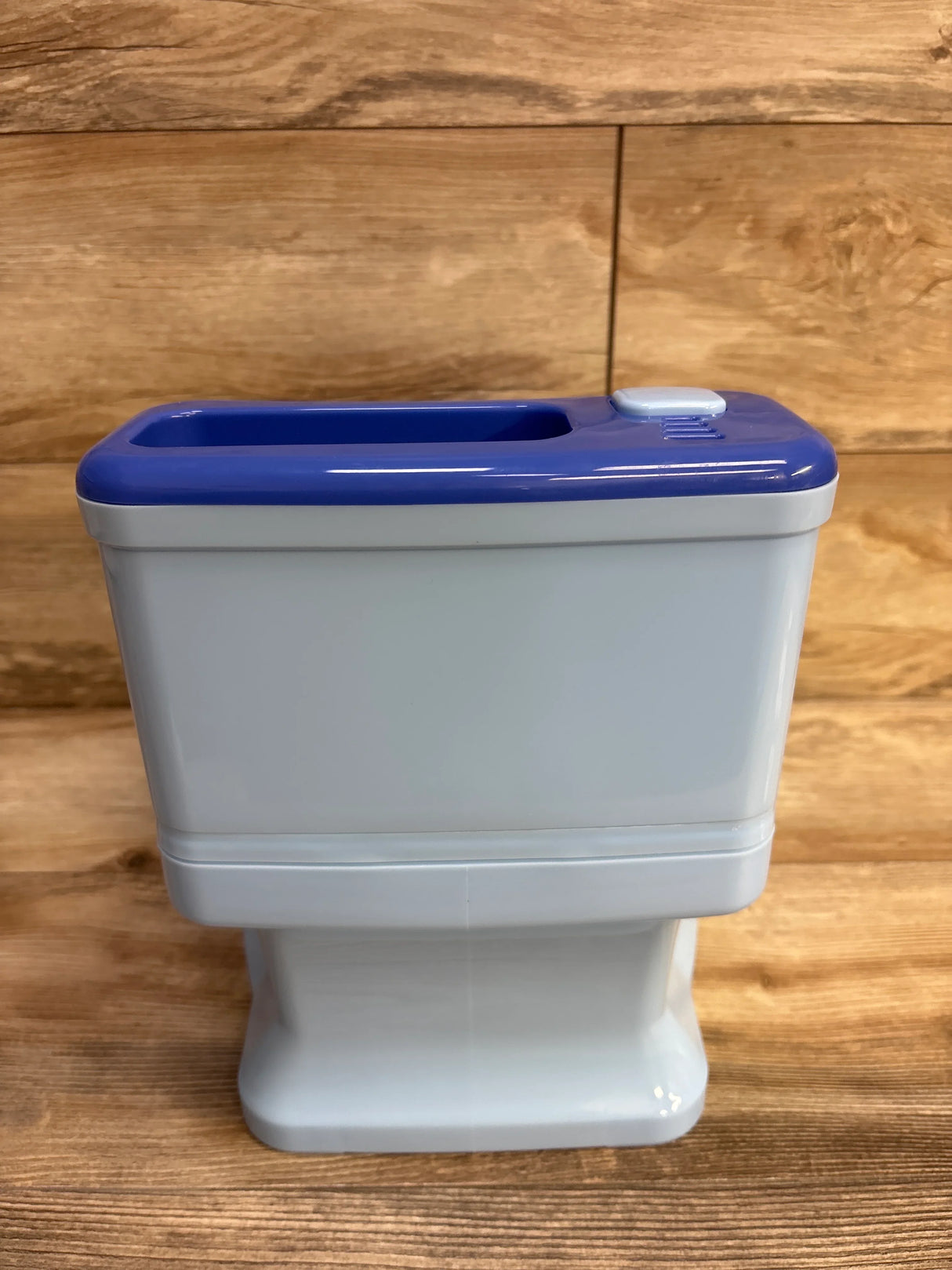 Bluey Playtime Floor Potty Trainer w/ Sound